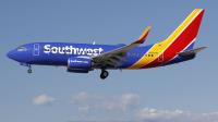 Southwest Airlines image 3